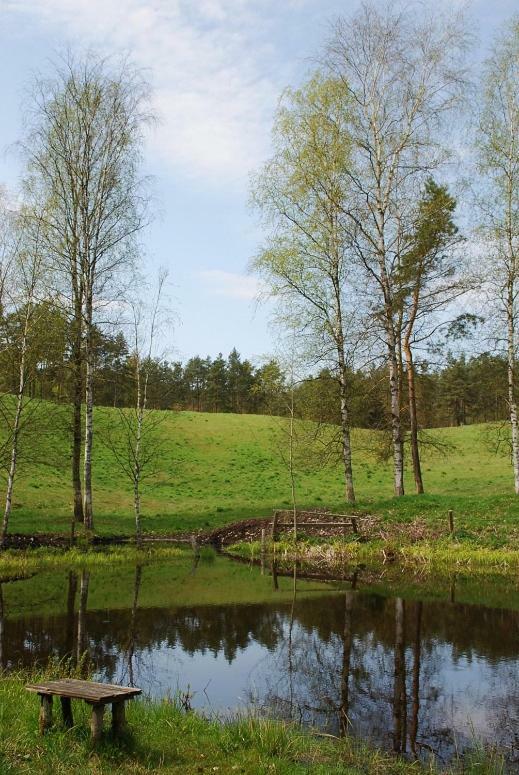 Pod Kogutkiem Villa Kruklanki Esterno foto